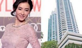 张柏芝今日头条新闻爆料,揭秘娱乐圈不为人知的真相