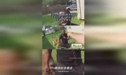 美国爆料人被抓视频播放,真相与争议交织